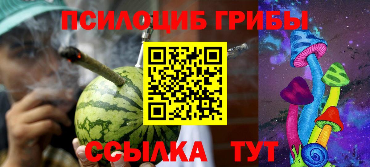 Галлюциногенные грибы Cubensis Брянск